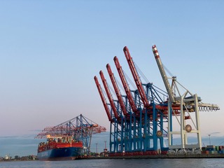 Container port with cargo cranes